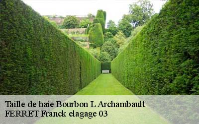 Taille de haie  bourbon-l-archambault-03160 FERRET Franck elagage 03
