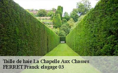 Taille de haie  la-chapelle-aux-chasses-03230 FERRET Franck elagage 03