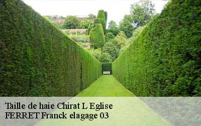 Taille de haie  chirat-l-eglise-03330 FERRET Franck elagage 03