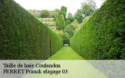 Taille de haie coulandon-03000 FERRET Franck elagage 03