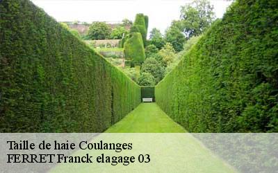 Taille de haie  coulanges-03470 FERRET Franck elagage 03