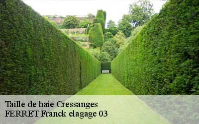Taille de haie  cressanges-03240 FERRET Franck elagage 03