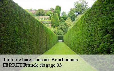 Taille de haie  louroux-bourbonnais-03350 FERRET Franck elagage 03