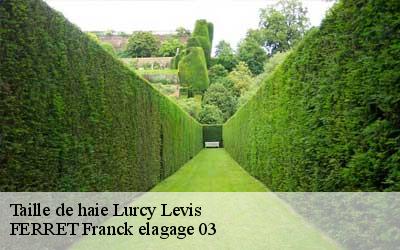 Taille de haie  lurcy-levis-03320 FERRET Franck elagage 03