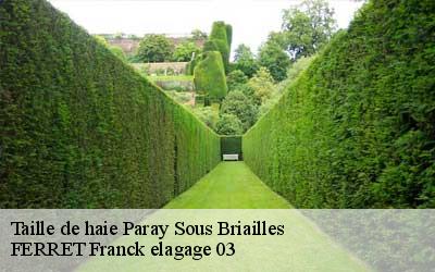 Taille de haie paray-sous-briailles-03500 FERRET Franck elagage 03