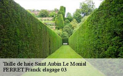Taille de haie saint-aubin-le-monial-03160 FERRET Franck elagage 03