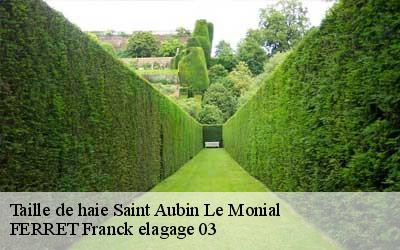 Taille de haie  saint-aubin-le-monial-03160 FERRET Franck elagage 03