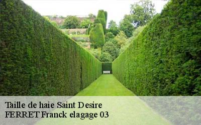 Taille de haie  saint-desire-03370 FERRET Franck elagage 03
