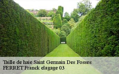 Taille de haie saint-germain-des-fosses-03260 FERRET Franck elagage 03