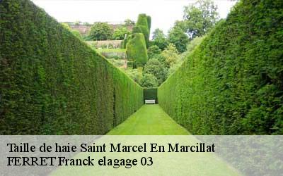 Taille de haie  saint-marcel-en-marcillat-03420 FERRET Franck elagage 03