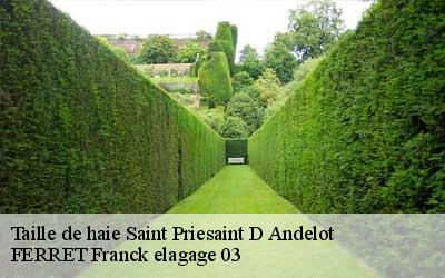Taille de haie  saint-priesaint-d-andelot-03800 FERRET Franck elagage 03