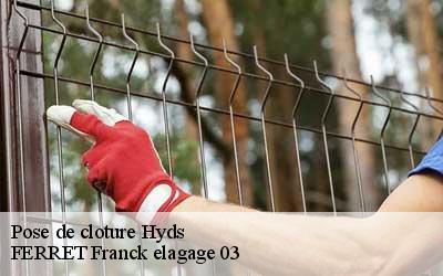 Pose de cloture hyds-03600 FERRET Franck elagage 03