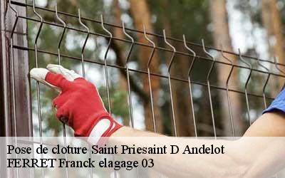 Pose de cloture saint-priesaint-d-andelot-03800 FERRET Franck elagage 03