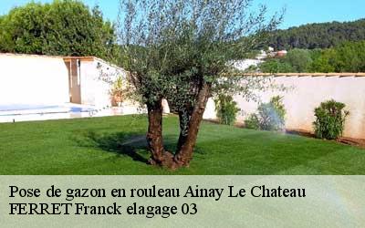 Pose de gazon en rouleau  ainay-le-chateau-03360 FERRET Franck elagage 03