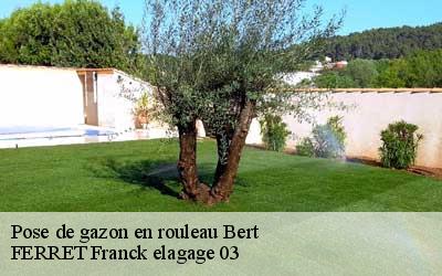 Pose de gazon en rouleau  bert-03130 FERRET Franck elagage 03