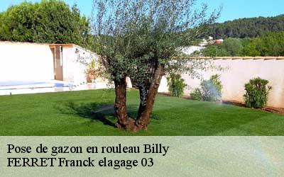 Pose de gazon en rouleau  billy-03260 FERRET Franck elagage 03