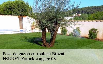 Pose de gazon en rouleau  biozat-03800 FERRET Franck elagage 03