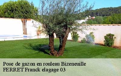 Pose de gazon en rouleau  bizeneuille-03170 FERRET Franck elagage 03