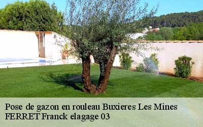 Pose de gazon en rouleau buxieres-les-mines-03440 FERRET Franck elagage 03