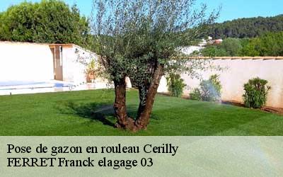 Pose de gazon en rouleau  cerilly-03350 FERRET Franck elagage 03