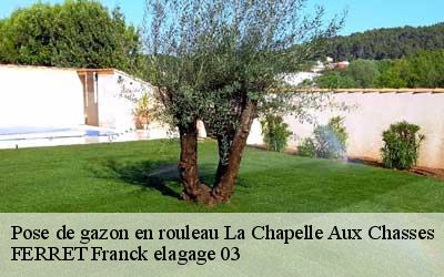 Pose de gazon en rouleau  la-chapelle-aux-chasses-03230 FERRET Franck elagage 03