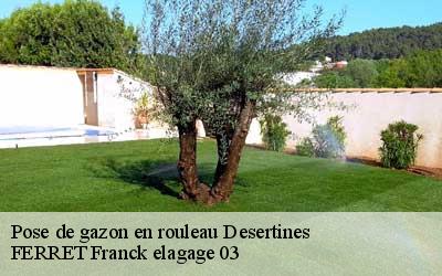 Pose de gazon en rouleau  desertines-03630 FERRET Franck elagage 03