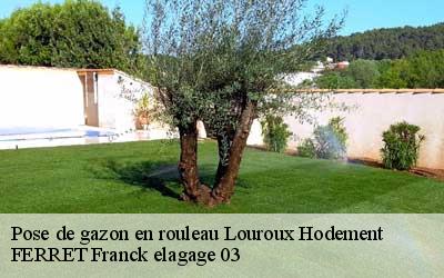 Pose de gazon en rouleau  louroux-hodement-03190 FERRET Franck elagage 03