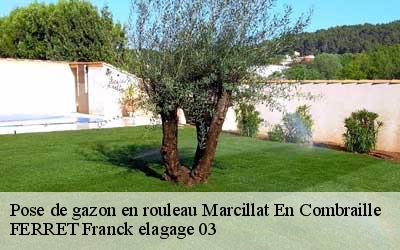 Pose de gazon en rouleau marcillat-en-combraille-03420 FERRET Franck elagage 03