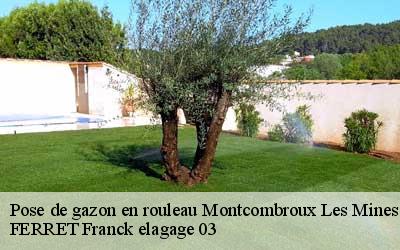 Pose de gazon en rouleau  montcombroux-les-mines-03130 FERRET Franck elagage 03