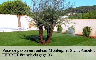 Pose de gazon en rouleau monteignet-sur-l-andelot-03800 FERRET Franck elagage 03