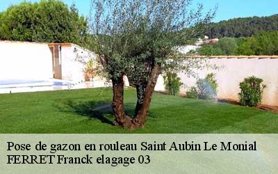 Pose de gazon en rouleau  saint-aubin-le-monial-03160 FERRET Franck elagage 03