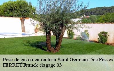 Pose de gazon en rouleau saint-germain-des-fosses-03260 FERRET Franck elagage 03
