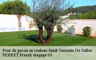 Pose de gazon en rouleau  saint-germain-de-salles-03140 FERRET Franck elagage 03
