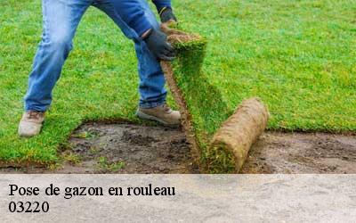 Pose de gazon en rouleau 03220