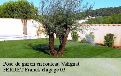 Pose de gazon en rouleau  valignat-03330 FERRET Franck elagage 03