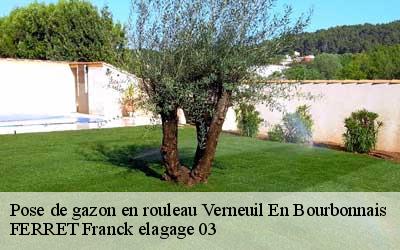 Pose de gazon en rouleau  verneuil-en-bourbonnais-03500 FERRET Franck elagage 03