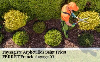 Paysagiste  arpheuilles-saint-priest-03420 FERRET Franck elagage 03