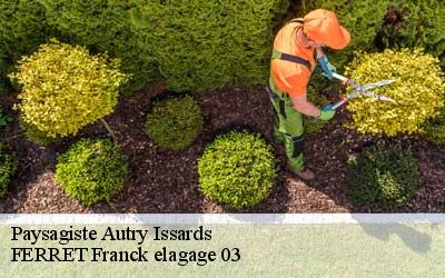 Paysagiste  autry-issards-03210 FERRET Franck elagage 03