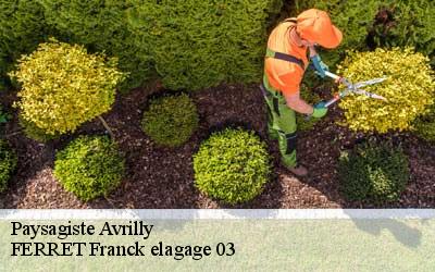 Paysagiste avrilly-03130 FERRET Franck elagage 03
