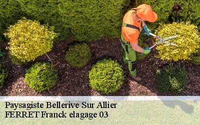 Paysagiste bellerive-sur-allier-03700 FERRET Franck elagage 03