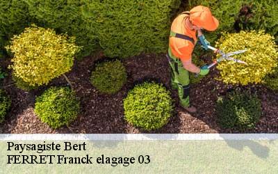 Paysagiste  bert-03130 FERRET Franck elagage 03