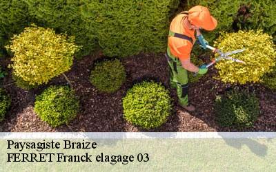 Paysagiste  braize-03360 FERRET Franck elagage 03