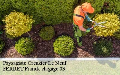 Paysagiste  creuzier-le-neuf-03300 FERRET Franck elagage 03