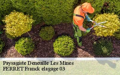 Paysagiste  deneuille-les-mines-03170 FERRET Franck elagage 03