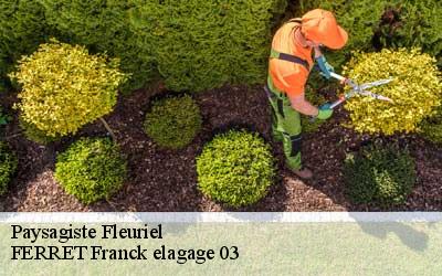 Paysagiste  fleuriel-03140 FERRET Franck elagage 03