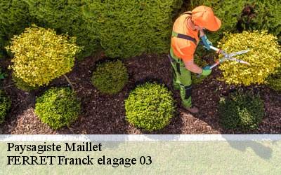 Paysagiste maillet-03190 FERRET Franck elagage 03