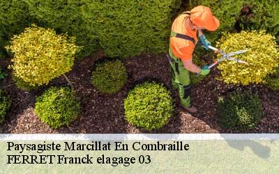 Paysagiste  marcillat-en-combraille-03420 FERRET Franck elagage 03