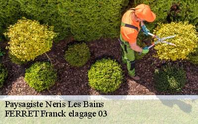 Paysagiste  neris-les-bains-03310 FERRET Franck elagage 03