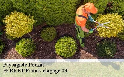 Paysagiste  poezat-03800 FERRET Franck elagage 03