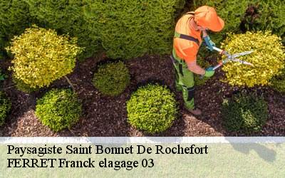 Paysagiste  saint-bonnet-de-rochefort-03800 FERRET Franck elagage 03